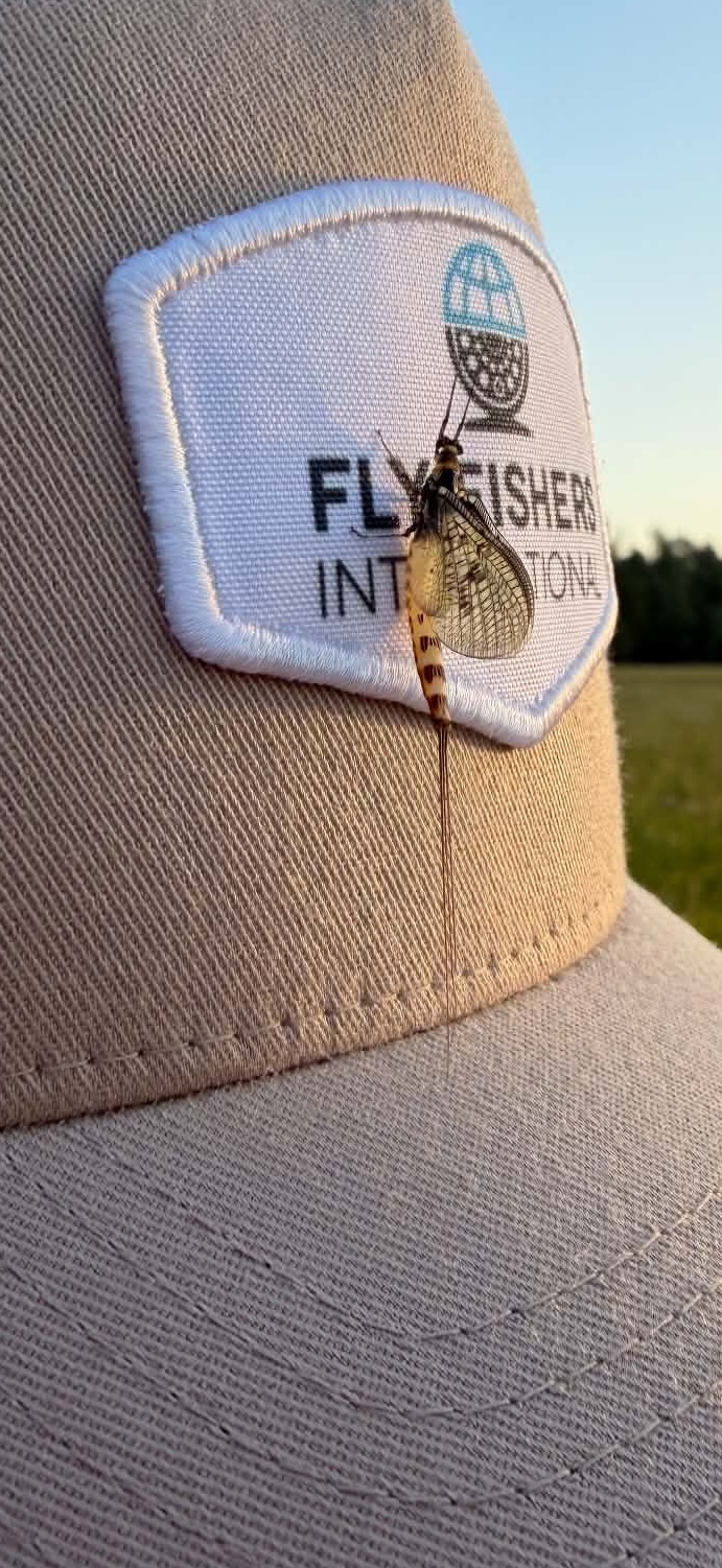 Fly Fishers International