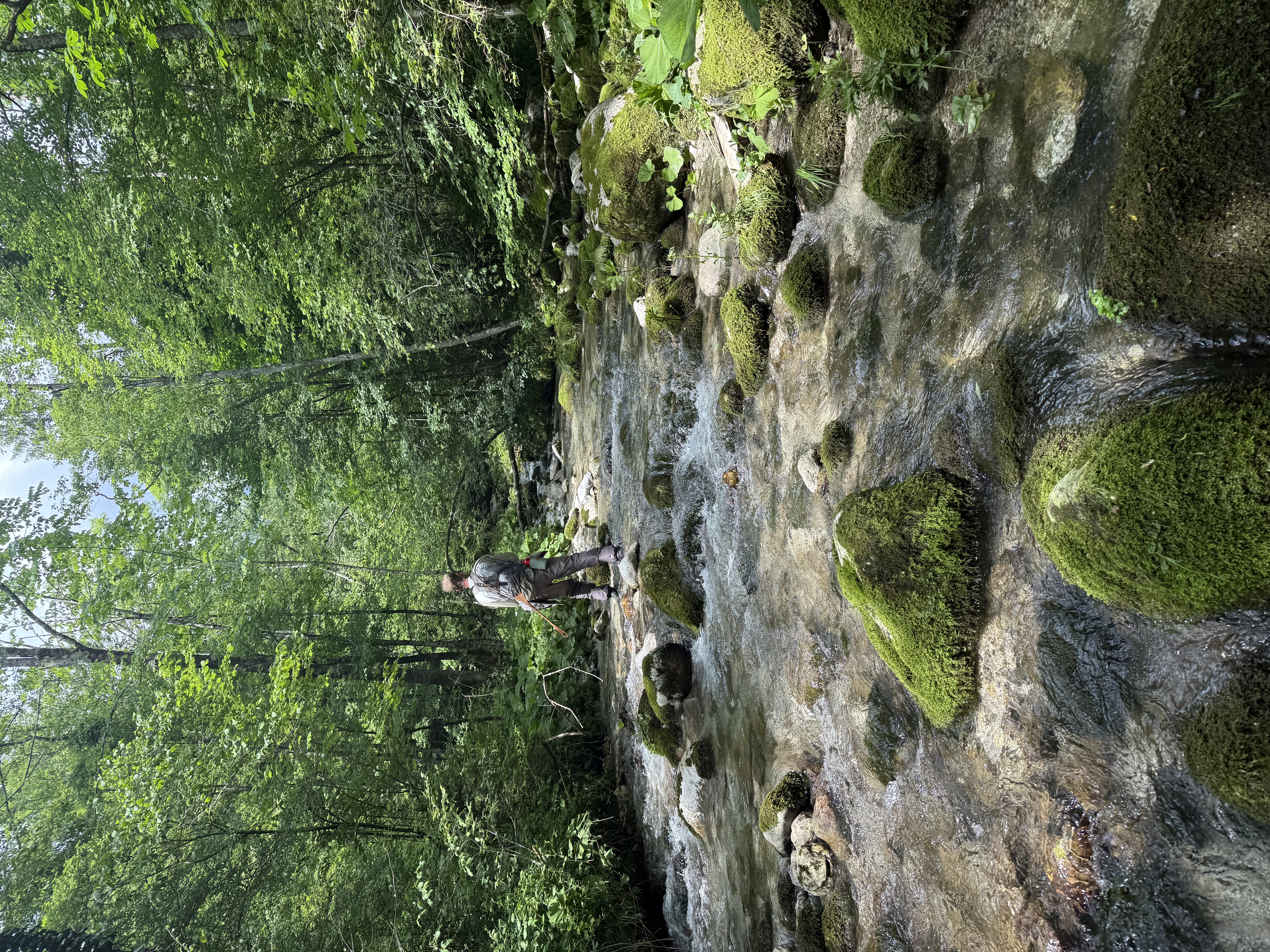 Fiske i Slovenien 