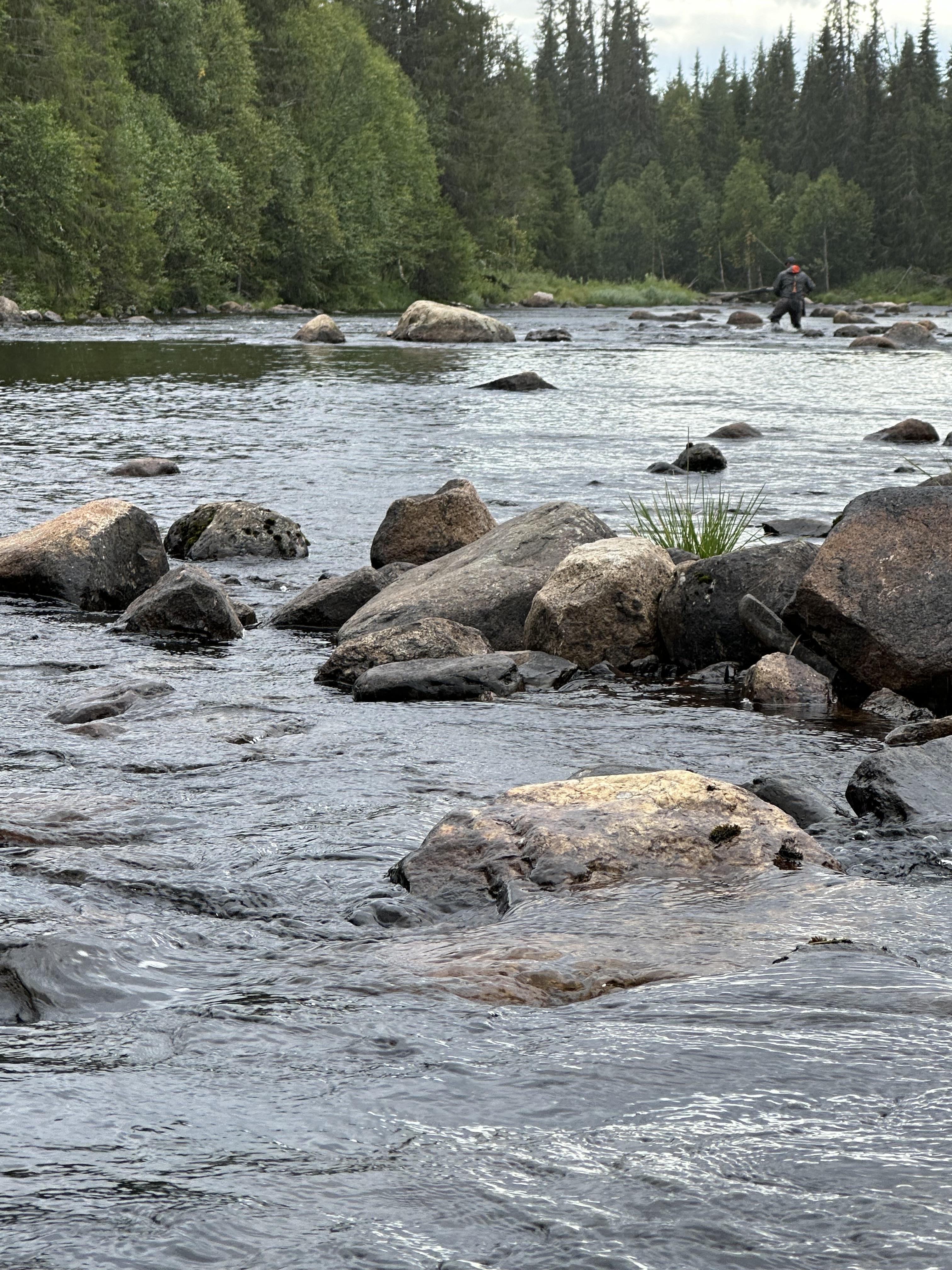 Anpassad Kastkurs